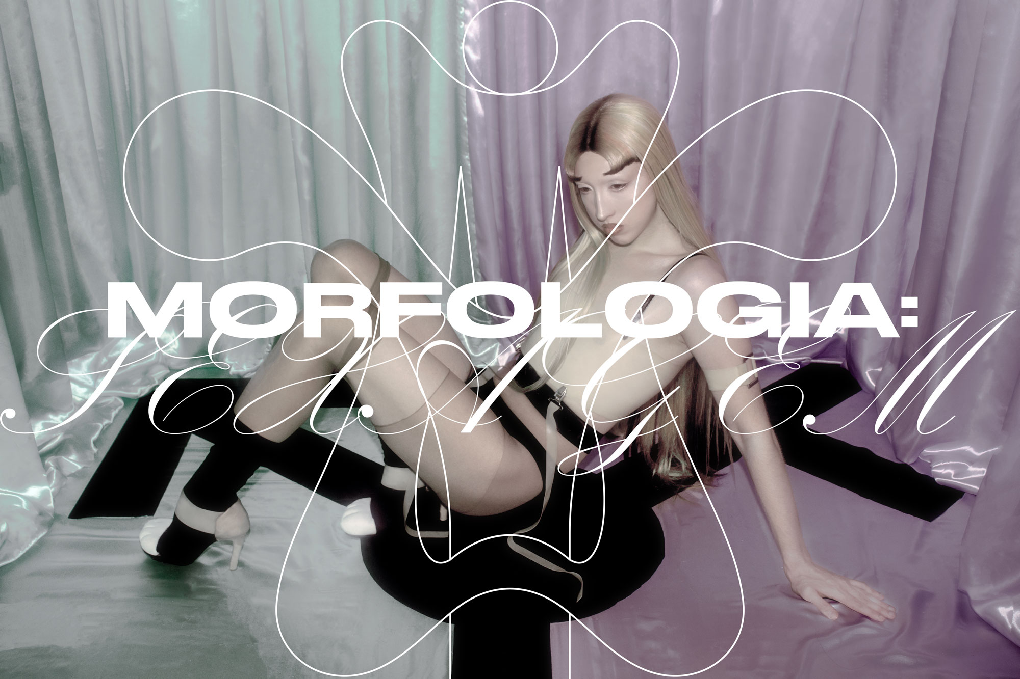 Morfologia_Fotos_01